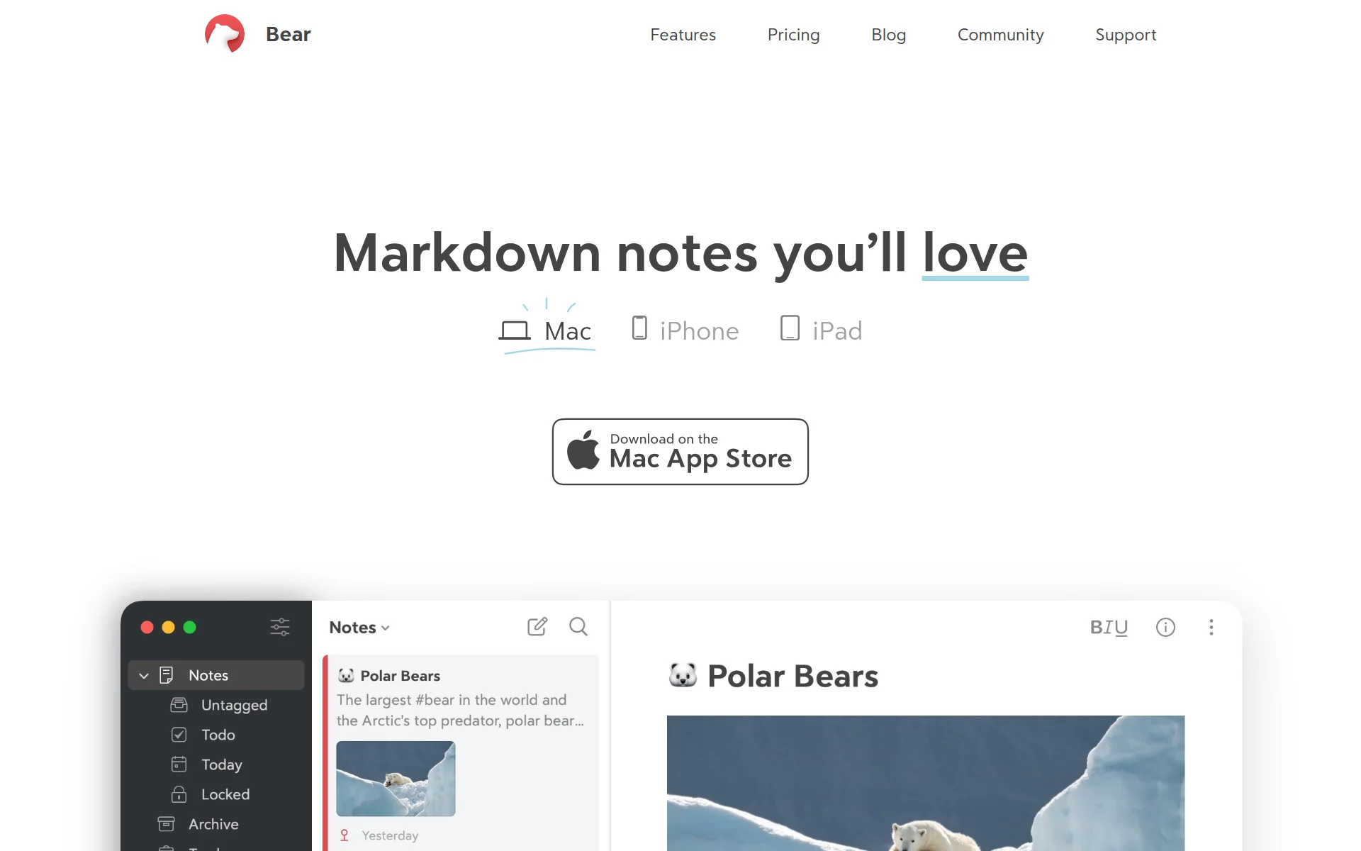 Bear screenshot